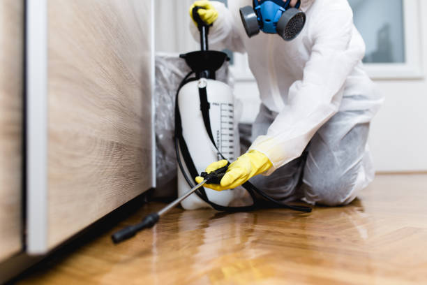 Best Flea Control Services  in Jamesburg, NJ