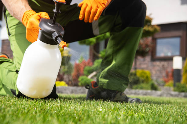 Best Commercial Pest Control Services  in Jamesburg, NJ