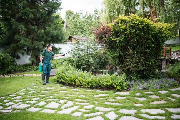 Best Best Pest Control Companies  in Jamesburg, NJ