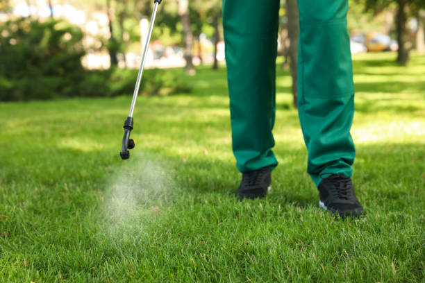 Best Cockroach Control Services  in Jamesburg, NJ