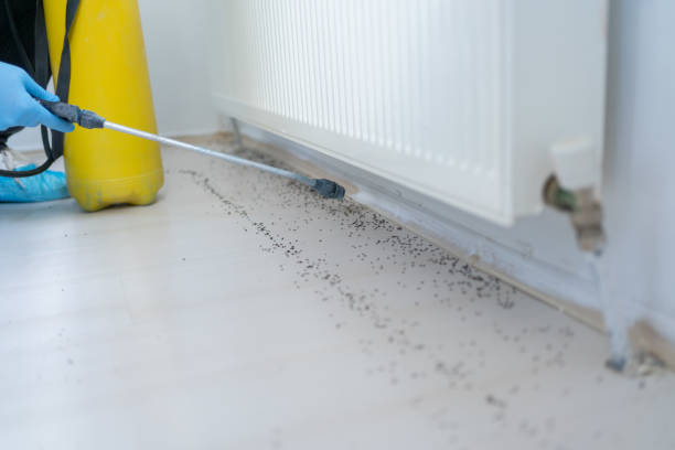 Best Spider Control Near Me  in Jamesburg, NJ