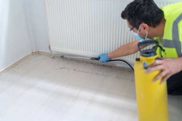 Best Local Pest Control Services  in Jamesburg, NJ